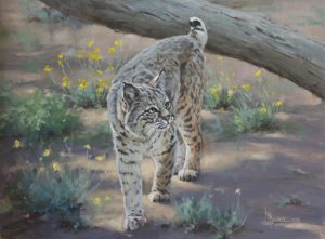 painting of a bobcat by Linda Budge
