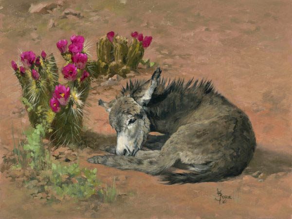 original oil painting by Linda Budge - A bit of shade - burro