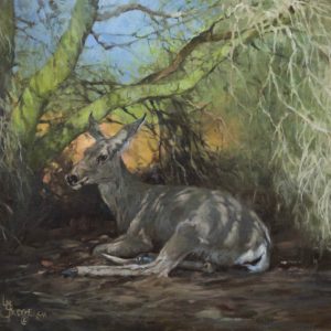 original oil painting by Linda Budge - A deer wrapped in shadows