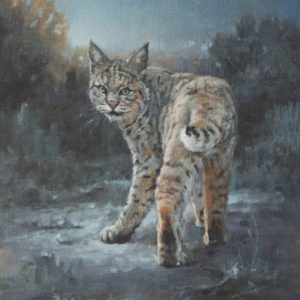 original oil painting by Linda Budge - bobcat in moonlight