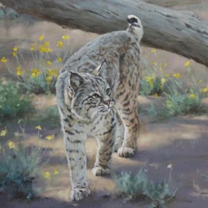 original oil painting by Linda Budge - bobcat walk softly