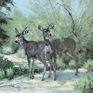 original oil painting by Linda Budge - deer in shadows - wonderful world
