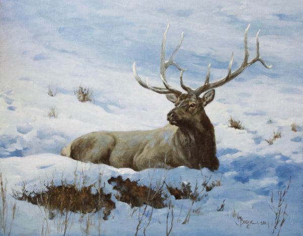 original oil painting by Linda Budge - elk
