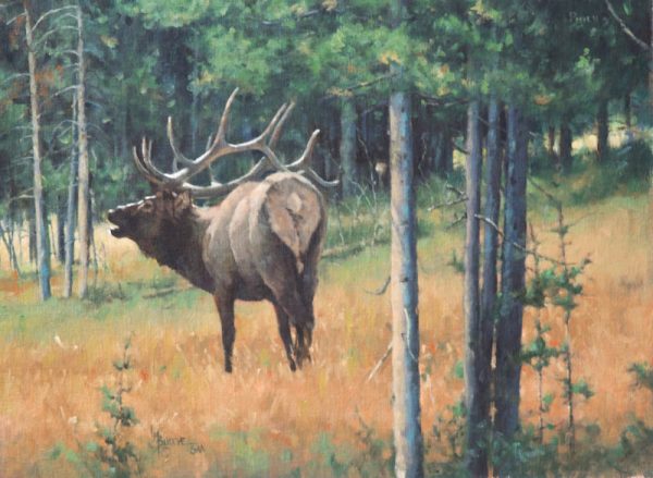 original oil painting by Linda Budge - bull elk
