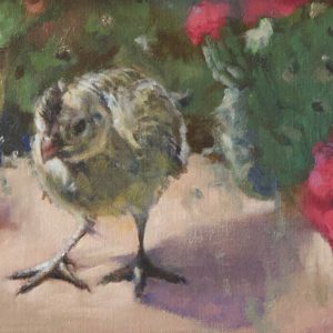 original oil painting by Linda Budge - baby quail