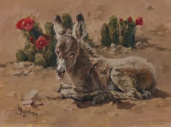 original oil painting by Linda Budge - burro SIESTA