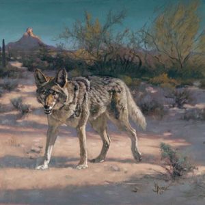 original oil painting by Linda Budge - wily coyote