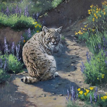 Meeting the Unexpected - Linda Budge painting of a Bobcat
