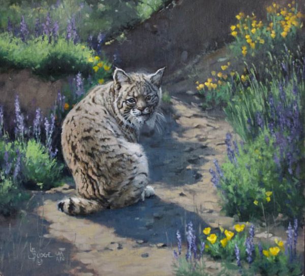 Meeting the Unexpected - Linda Budge painting of a Bobcat