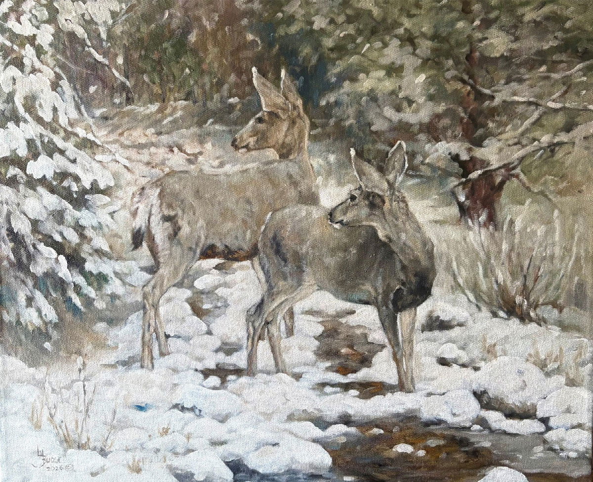 SILENCE deer in the snow Linda Budge